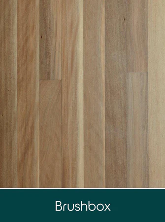 brushbox timber floor