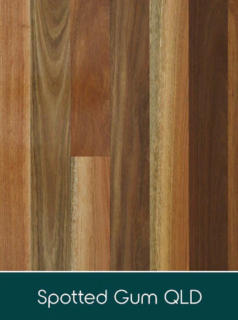 qld spotted gum flooring