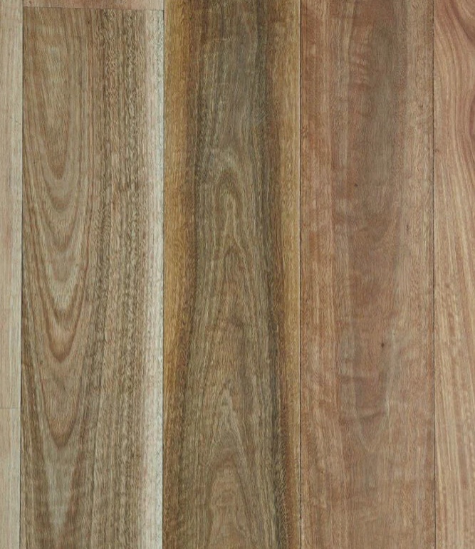 spotted gum timber floor
