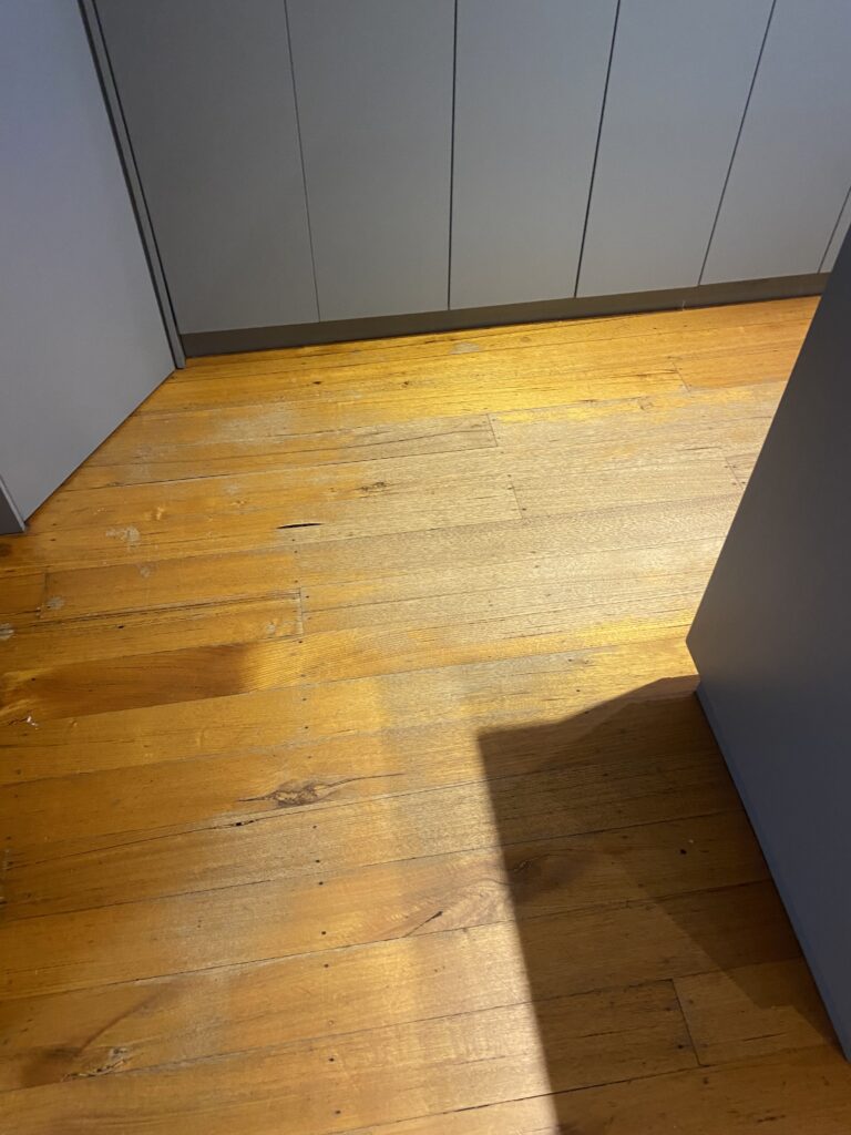 hardwood floor polishing