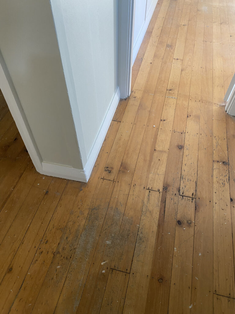 wood floorboard polishing