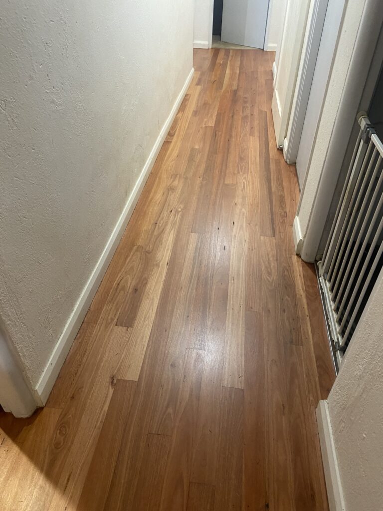 Blue Gum timber floor after sanding and Berger Seidle Ceramic Matt finish in Canberra