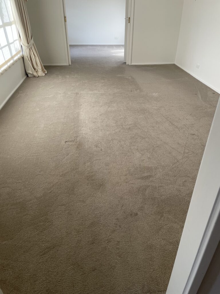 Brushbox floor polishing Canberra