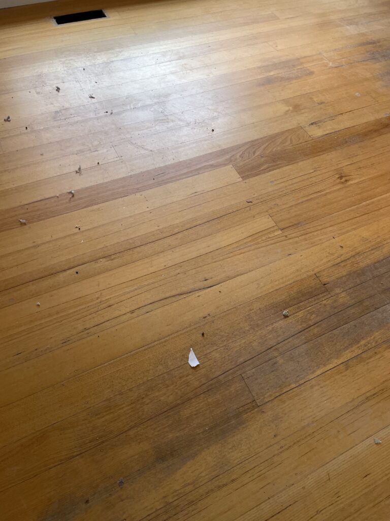 Timber floor polishing Farrer