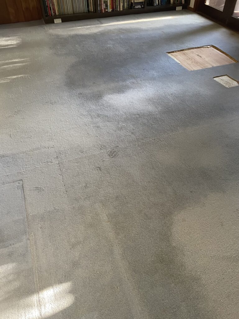 Carpet removal and pine floor sanding Canberra